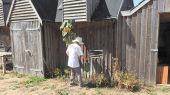 060