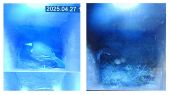 042_16x9